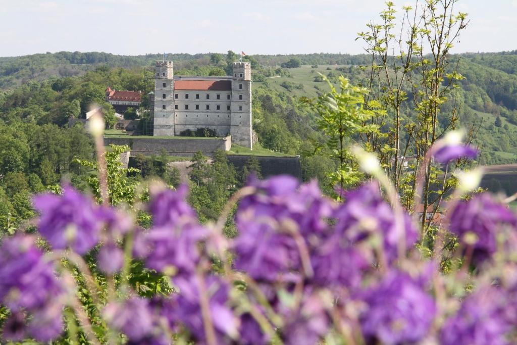 Wellnesshotel Schonblick Eichstätt Kültér fotó